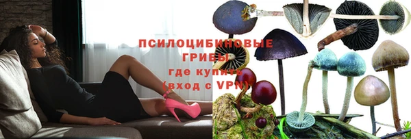 мет Бородино