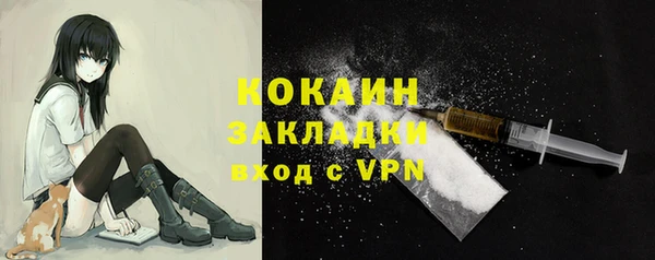 ешки Бронницы