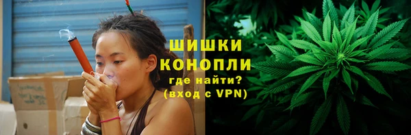 ешки Бронницы