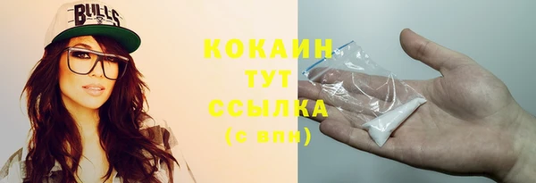 мет Бородино