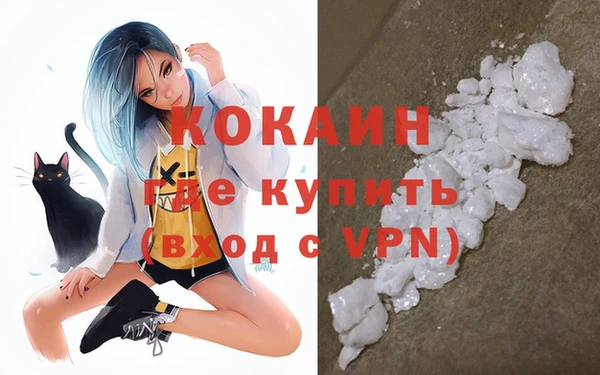 мет Бородино