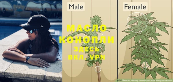 мет Бородино