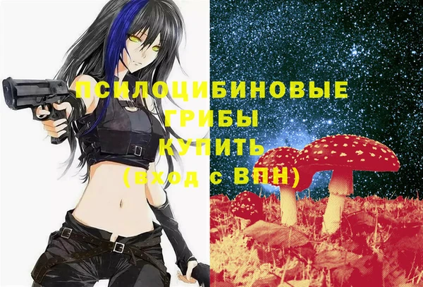мет Бородино